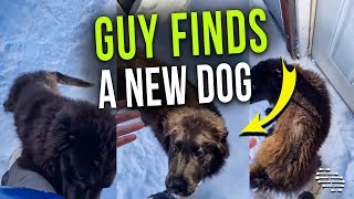 Guy Went Back Home Only to Find a Dog Waiting by His Door That Isn’t His