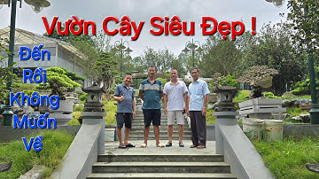 Không gian ẤN TƯỢNG cây cảnh TUYỆT ĐẸP nhà anh DŨNG TRỌC - TP VIỆT TRÌ - ĐT : 0913282515 .