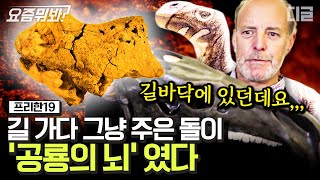 [#요즘뭐봐] 세계 최초로 발견된 '공룡 뇌' 를 길에서 주운 남자? 1억 3천만년 전 살던 공룡의 뇌가 썩지 않은 이유  | #프리한19 #디글