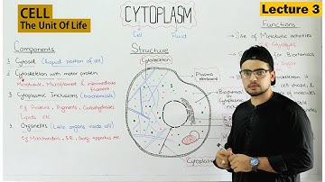 Cytoplasm Structure and function | Video 3