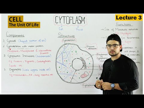 Video: Wat is de structuur van het cytoplasma?