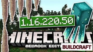How to download minecraft 1.16.220 official version