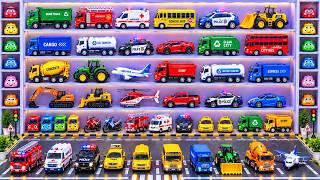 Amazing Toy Car Collection ๐๐ | Explore a World of Colorful Vehicles for Kids!