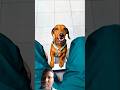 When Hulk went after Sonu #youtubeshorts #viralshort #dog #funny #woodart #cat #trending #ytshorts