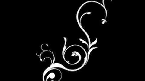 Adobe after effect : free growing flower effect, 자라나는 꽃 이펙트