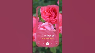 سورة الإخلاص كاملة بصوت خاشع  تلاوة مؤثرة جدًا للشيخ ياسر الدوسري | Surah Al-Ikhlas Yasser Al Dosari
