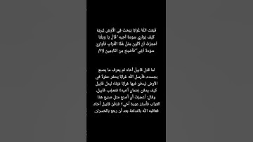 سورة المائدة ❤️ الشيخ سيد سعيد❤️#allah #explore #quran #الله #اللهم_صل_وسلم_على_نبينا_محمد #قرآن