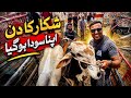 🔥 Shikaar Ka Din 😱 | Aakhir Apna Soda Ho Gaya 🐂💥 Bhains Colony Mandi Latest Rates Update