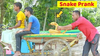 King Cobra Snake Prank 🐍 (Part 12) | Fake Snake Prank Video | 4 Minute Fun