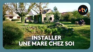 La mare, un trésor écologique à recréer chez soi - Silence ça pousse !