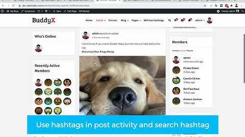 Use Hashtag in BuddyPress Post Activity, Post, Page Forum