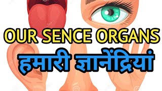 Our five sense organs (हमारी पाँच ज्ञानेन्द्रियां) Animated series by MKH