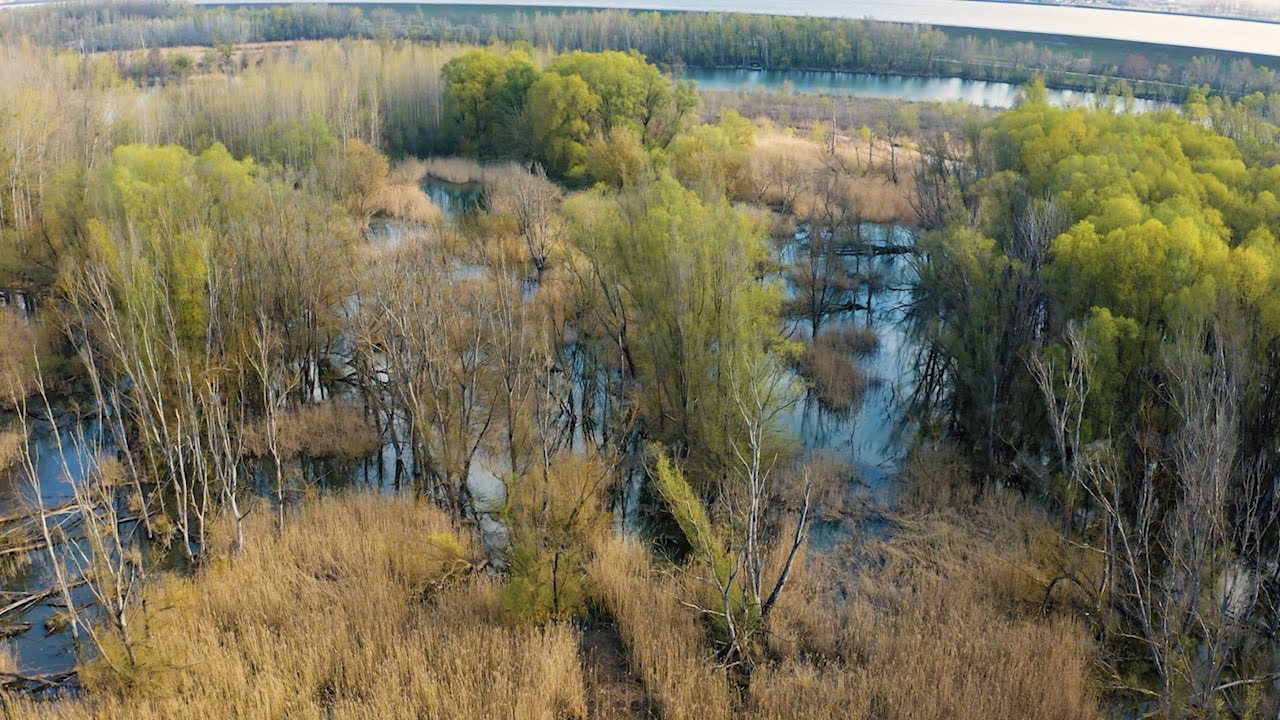 Simulujú dvojtýždňové záplavy na Dunaji. Sú menšie kvôli čiernym stavbám