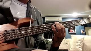 ไหนวะ - The Parkinson (bass cover)