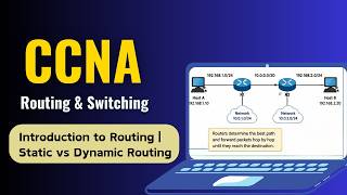 Introduction to Routing | Static vs Dynamic Routing