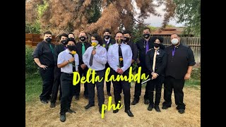 Delta Lambda Phi Iota Chapter Fall 2021 USFC Showcase