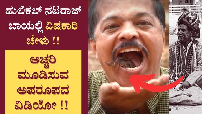 ಹುಲಿಕಲ್ ನಟರಾಜ್ ಬಾಯಿಂದ ಚೇಳು ತೆಗೆದದ್ದು ಹೇಗೆ I Hulikal Nataraj Exclusive video - YouTube