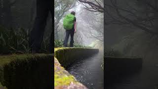 Madeira Trailer 🇵🇹