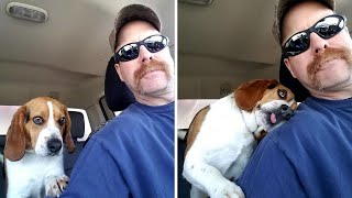 Dog Can’t Contain His Gratitude, Hugs His Rescuer After Being Rescued From Being Euthanized In A She