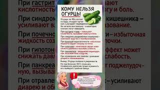 КОМУ НЕЛЬЗЯ ОГУРЦЫ — когда “лёгкий овощ” может навредить