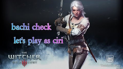The Witcher 3 Wild Hunt Let