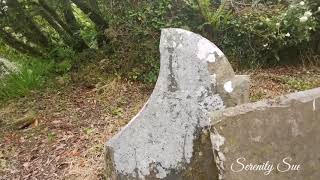 #graves#cemeteries#history Carrig Graveyard, Wexford