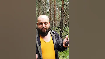 Ручной жук, который решает вопросы...