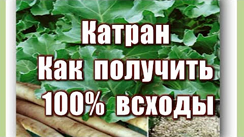 360_Катран. Природный стимулятор роста.