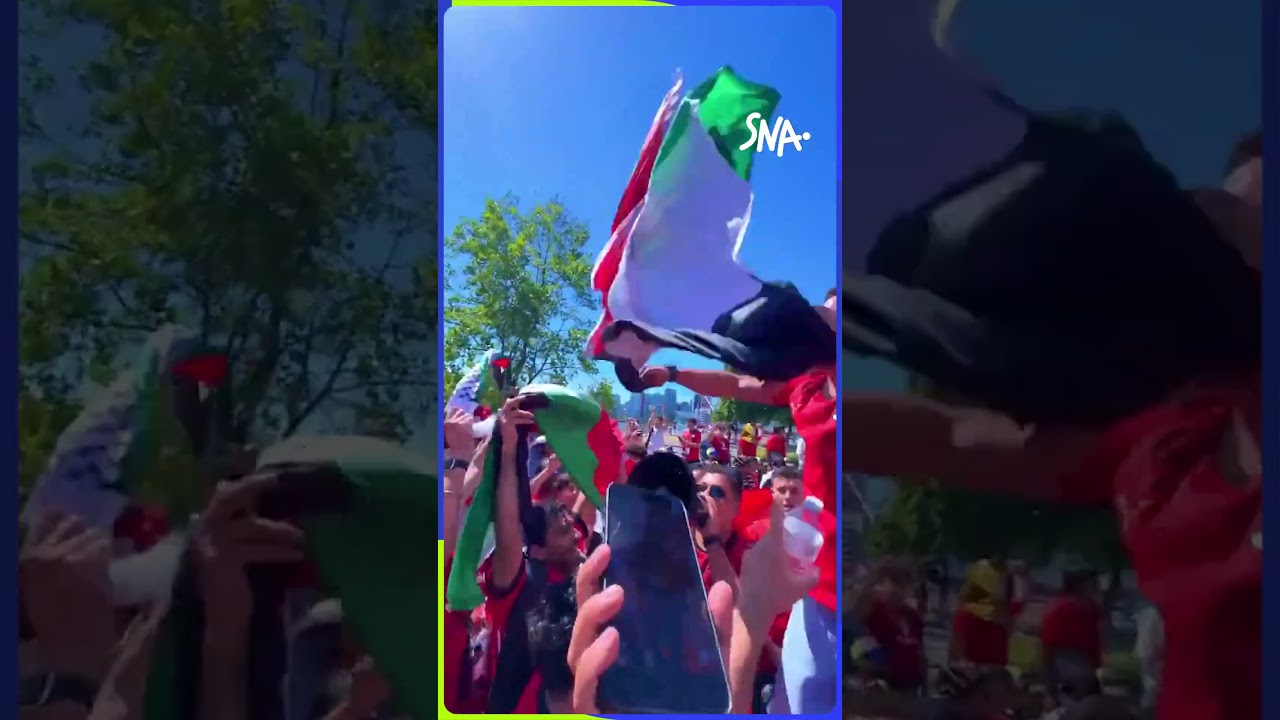 La ferveur des supporters des Pharaons, prêts à pousser leur équipe vers la victoire. 🇪🇬