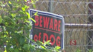 Woman Remains In Critical Condition After Alleged Dog Attack