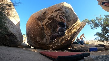 Strawberry Contraceptive (V7) - Joshua Tree