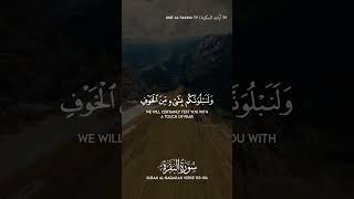 Surah Baqarah | سورة البقرة | Verses 153-156 | Abu Arisha Muhammad | Calming Recitation
