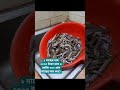 পাঁচ কেজি ৩০০ গ্রাম মাছের দাম কত? #viral #everyone #quiz #video #viralvideo #comment