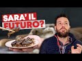 La FARINA di ðŸ¦—GRILLOðŸ¦— Ã¨ diventata LEGALE