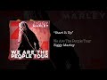 Start It Up – Ziggy Marley live | We Are The People Tour, 2017