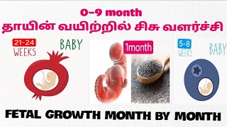தாயின் வயிற்றில் சிசு வளர்ச்சி, 0-9 months of baby development in womb in Tamil