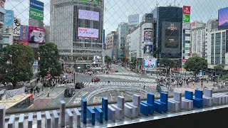 Dominoes in Japan