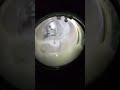 Samsung Bespoke AI Series 8 11KG WW11CB944CGHLP VERY Sudsy and unbalanced spin attempt
