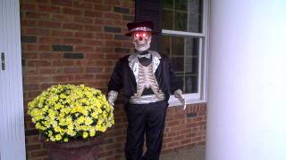 SuperFreak Skeleton 2011