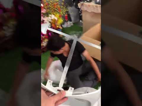 Video Dylan lên Sh ý 2010 áo zin xé bịch - Lên full sườn... - youtube
