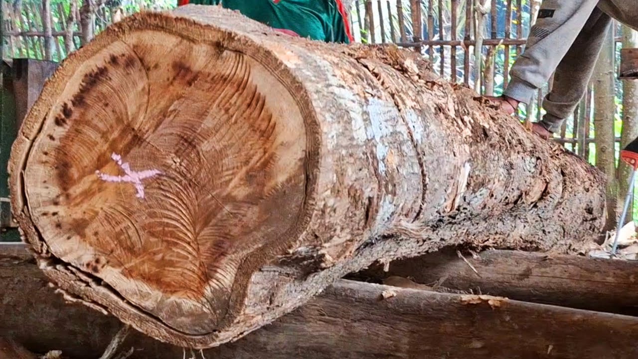 Amazing curved old teak logs when sawn at the sawmill - YouTube