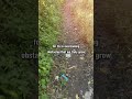 Long Journey #shorts #shortsvideo #genzaid