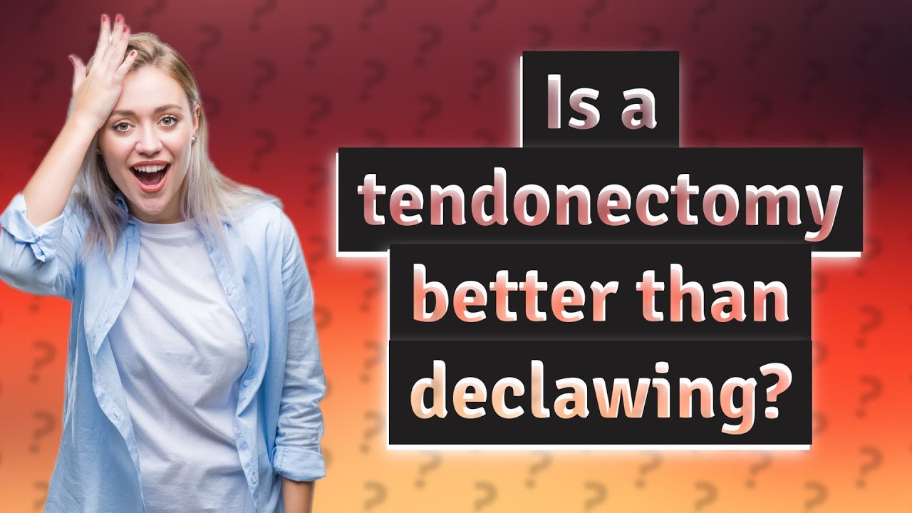 Is a tendonectomy better than declawing? - YouTube