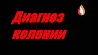 Colony diagnosis screenshot 3