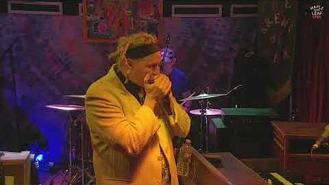 Walter "Wolfman" Washington's Birthday Blowout - L...
