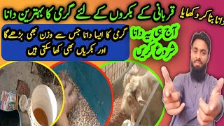 Bakron Ka Garmi Ka Best Dana | Wazan Bhi Badhega | Bakri Ko Bhi Khila Sakte Hain | #20dayschallenge Bakron Ka Garmi Ka Best Dana | Wazan Bhi Badhega | Bakri Ko Bhi Khila Sakte Hain | #20dayschallenge