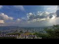 Bilisummaa Raggaasaa Salaale Dhooqa Dhooqa Best Oromoo Music ЁЯСЙЁЯСЙ Shoboxeee Bilisummaa Raggaasaa Salaale Dhooqa Dhooqa Best Oromoo Music ЁЯСЙЁЯСЙ Shoboxeee