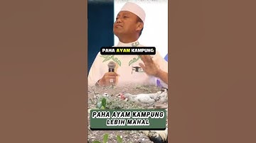 PAHA AYAM KAMPUNG LEBIH MAHAL⁉️ USTADZ DAS