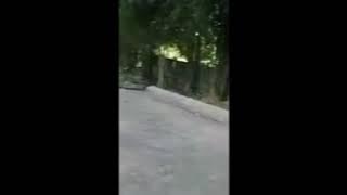 Bocil Wik Wik Berkembang Biak di Kelas
