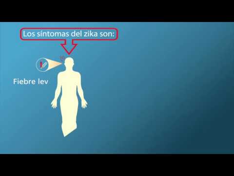 Vídeo: Diferencia Entre Malaria Y Dengue